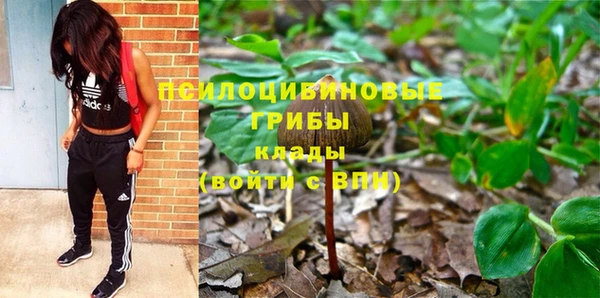 крисы Горно-Алтайск